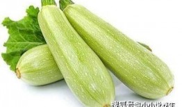 吃瓜每日大赛 吃瓜 吃瓜爆料大赛每日聚集地,揭秘“吃瓜每日大赛”的火爆聚集地