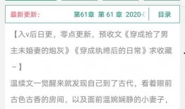 v1小说,穿越时空的奇幻冒险之旅